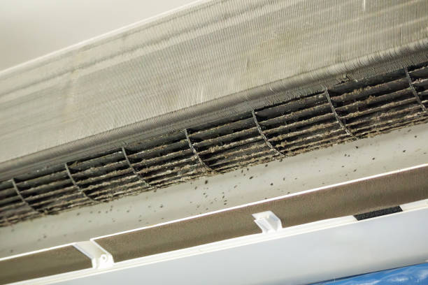 Best Ventilation Cleaning Services  in Blue Mountain, MS