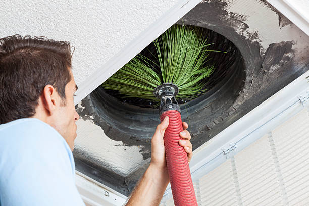 Best Affordable Duct Cleaning Services  in Blue Mountain, MS