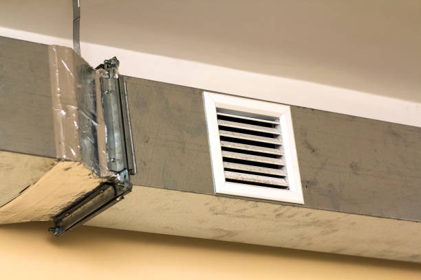 Best Dryer Vent Cleaning Services  in Blue Mountain, MS